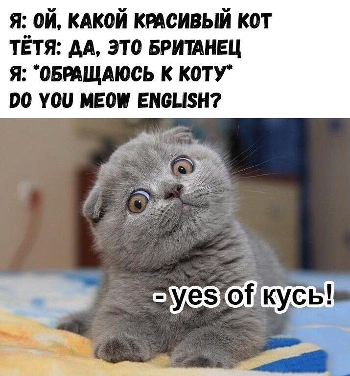   - 7  2025  18:59