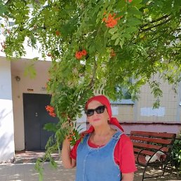 ���� ��������, ��������, 56 ��� - ��������� 4 ������� 2026