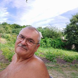 ��������, ������, 66 ���