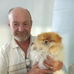 , 51, 
