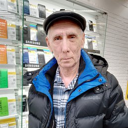 , 66, 