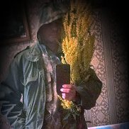 , 51 , 
