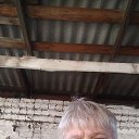 ���� �������, ����, 61 ��� - ��������� 11 ������� 2025 � ������ ���� ����������