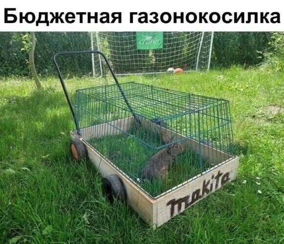   -   1 - 13  2024  12:41