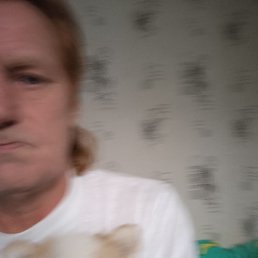 ����, ���������, 50 ���