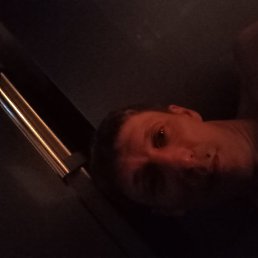 , 41, 