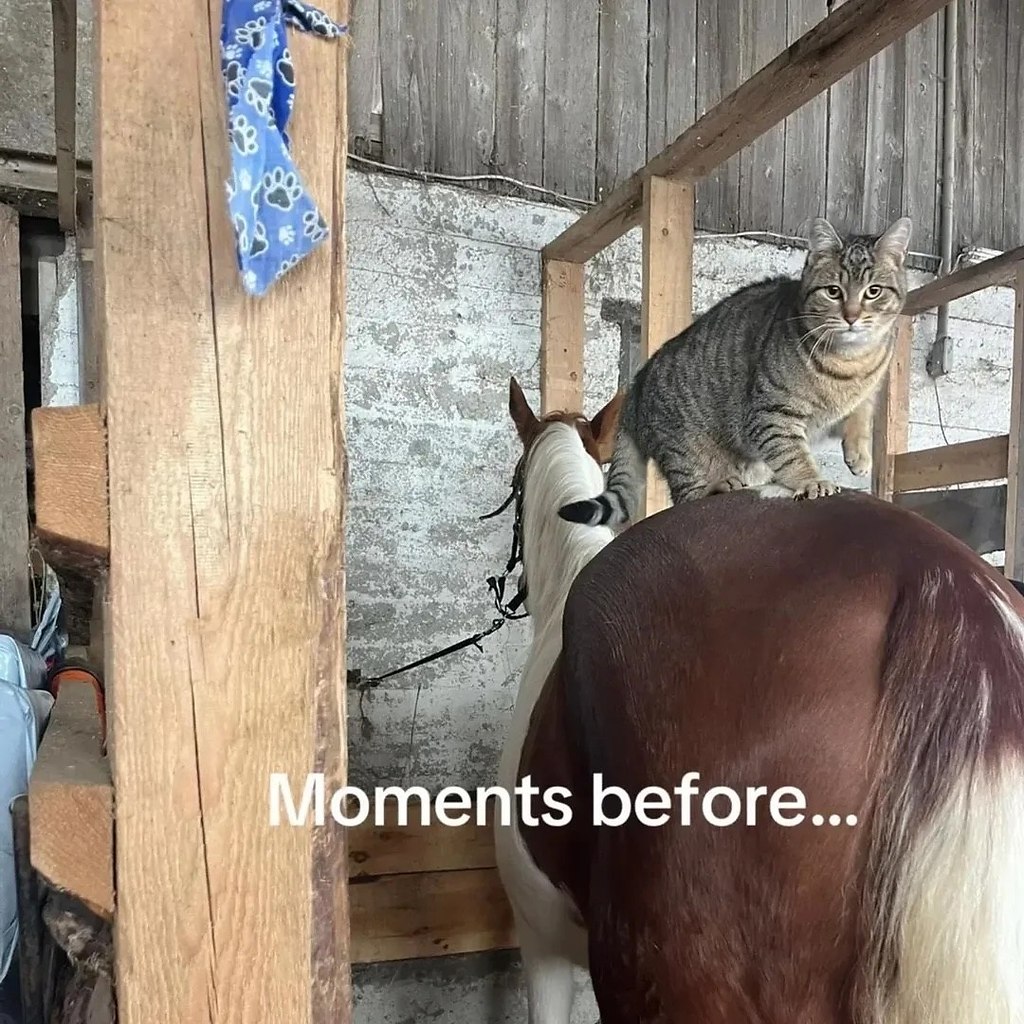 �� ������� ��...