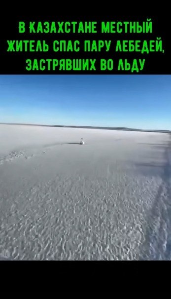 � ���������� ������� ������ ���� ���� �������, ���������� �� ���� �� ����� ���������.����� �� ����� ... - 2