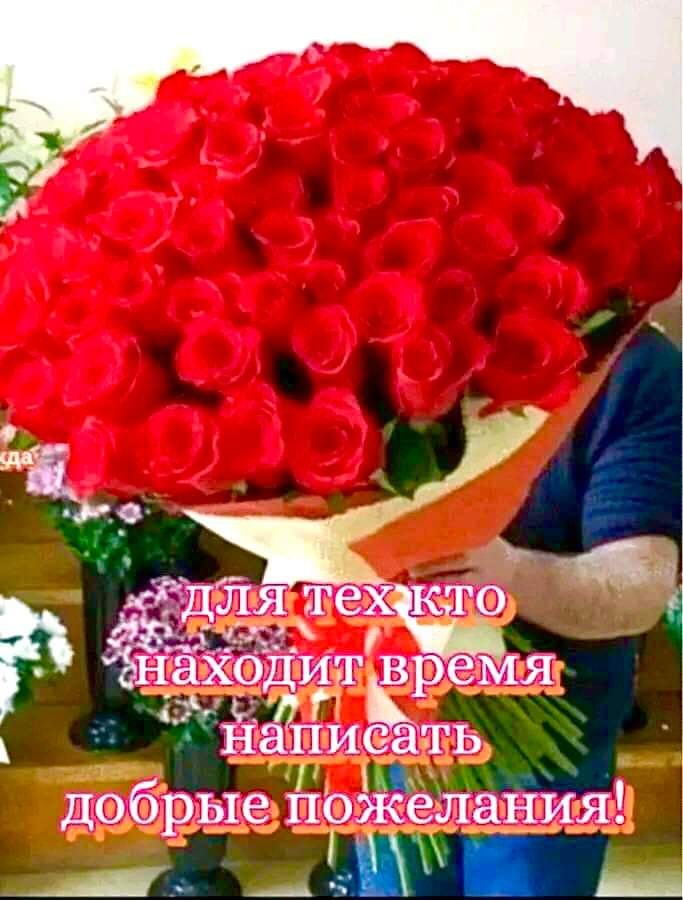 :)   ,    ,     