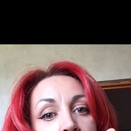 ���� ������, ������, 40 ��� - ��������� 25 ������ 2026