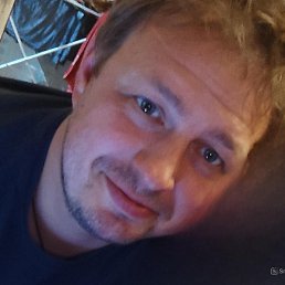 �����, ������, 41 ���