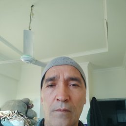 , 59, 