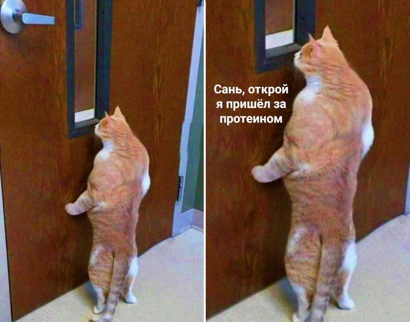   - 30  2023  14:33
