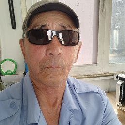 , 61, 