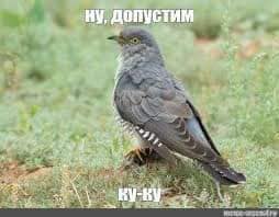 -- .       , ... - 2