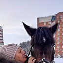 ���� *�����, ������, 49 ��� - ��������� 10 ��� 2026