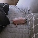 ���� �����, ���������, 29 ��� - ��������� 16 �������� 2025 � ������ ���� ����������