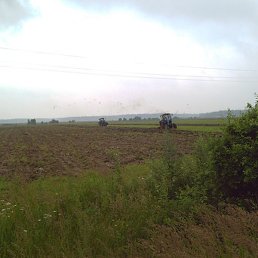 �������, ������, 67 ���