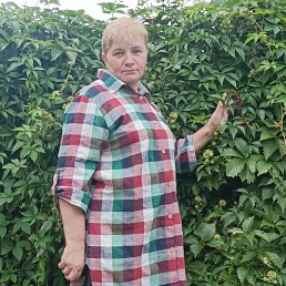 , 54, 