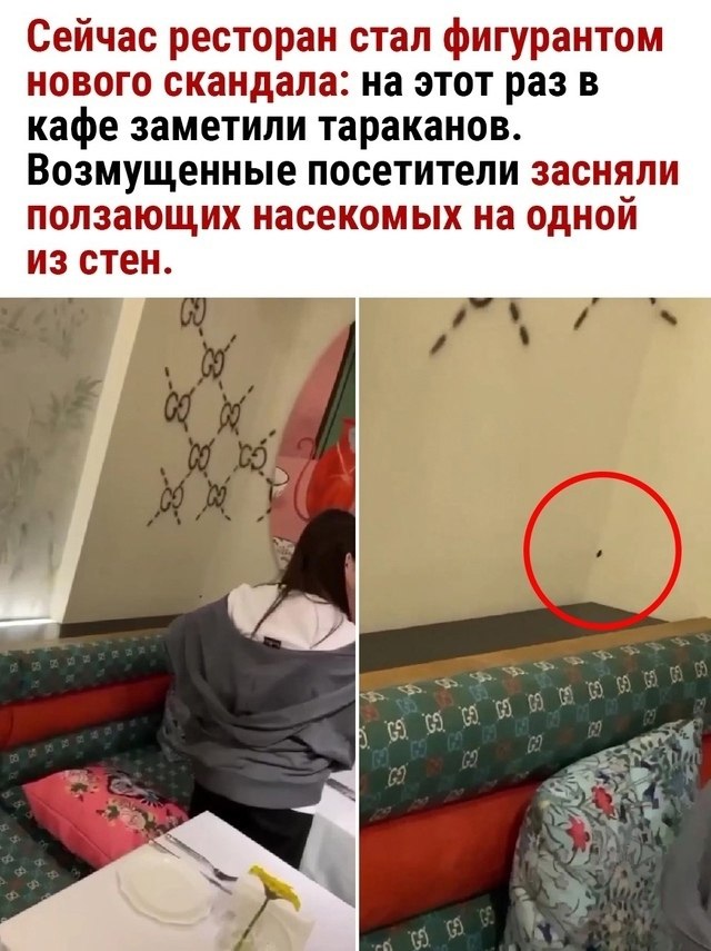 ��� ����� ��������� Black Star - 2