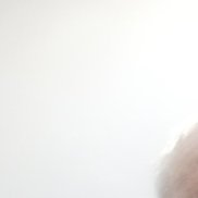 ��������, 66 ���, ������