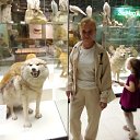 ���� �����, ������, 49 ��� - ��������� 12 ������� 2026 � ������ ���� ����������