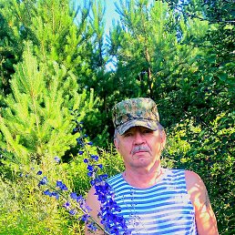 , 60 , 