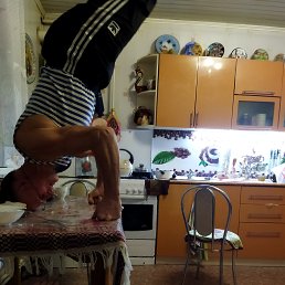, 61, 