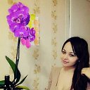 ���� ��������, ������, 40 ��� - ��������� 1 ������� 2024 � ������ ���� ����������
