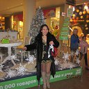  (), , 55  -  8  2025    