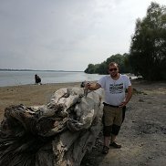 ������, 44 ����, ��������