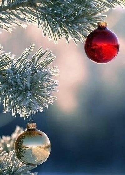 ����� � ������ - 3 ������ 2026 � 12:23