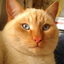 ���� �����, ������, 60 ��� - ��������� 31 ���� 2025 � ������ ���� ����������