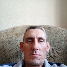 , 44 , 