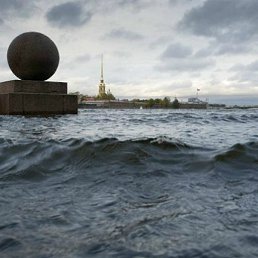 �������, �����-���������, 36 ���