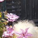 ���� ������, ������, 63 ���� - ��������� 22 �������� 2025 � ������ ���� ����������