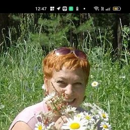 , 61, 