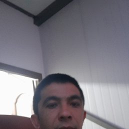 , 33, 