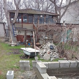 ���� �������� ������, ��������������, 43 ���� - ��������� 29 ����� 2025