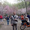 ���� ������, ������ - ��������� 20 ������� 2025