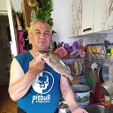 ���� �������, ������, 57 ��� - ��������� 2 ���� 2026 � ������ ���� ����������
