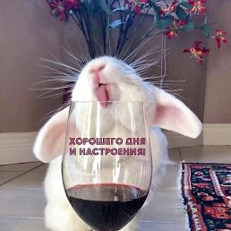 �����, ��������