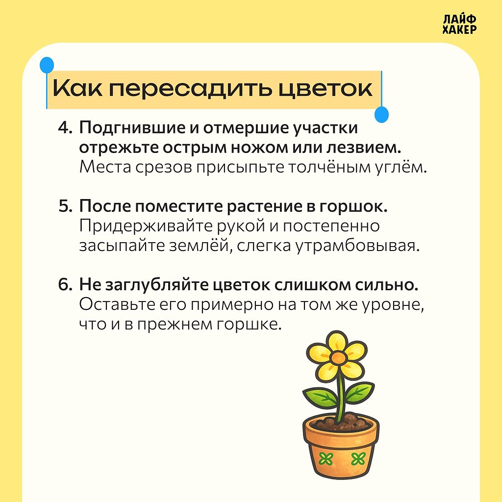 ����� � ����� ����� ������������ ��������.� ��� ������� ��� ���, ����� �� ������������ �������, ... - 6