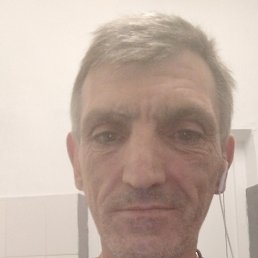 , 44, 