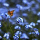 ���� ��������, ������, 67 ��� - ��������� 21 ���� 2025 � ������ ���� ����������