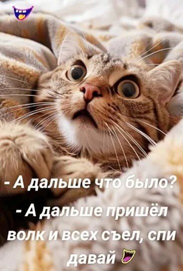  - 11  2025  21:39