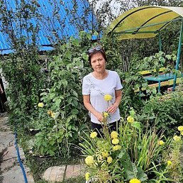 ������, �����, 64 ����