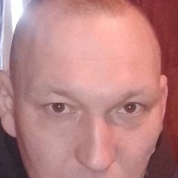 �����, 41 ���, �����-���������