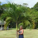 �� ���������� ����� Berjaya Beau Vallon Bay Resort &amp; Casino �� ������� ��������-��� �� ����� ���� 2026�.�