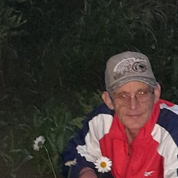 ������, 44 ����, �����������